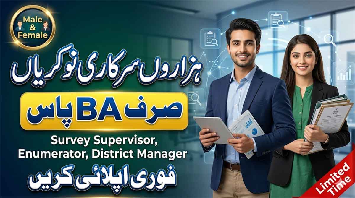 Punjab Urban Unit Jobs 2026 Online Apply
